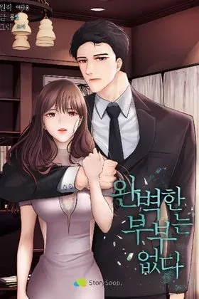 There Is No Perfect Married Couple